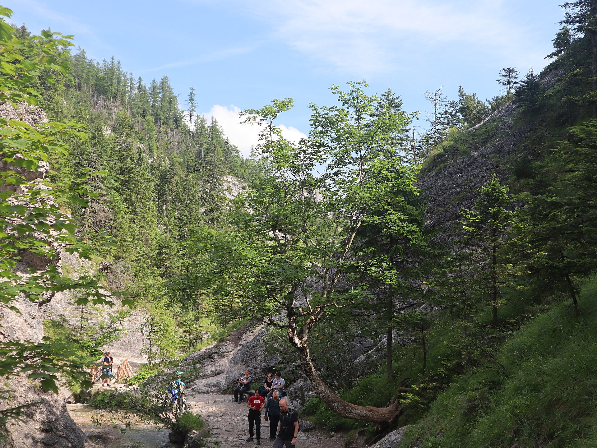 Dolina Bialego limestone ravine with wooden footbridges over a mountain stream