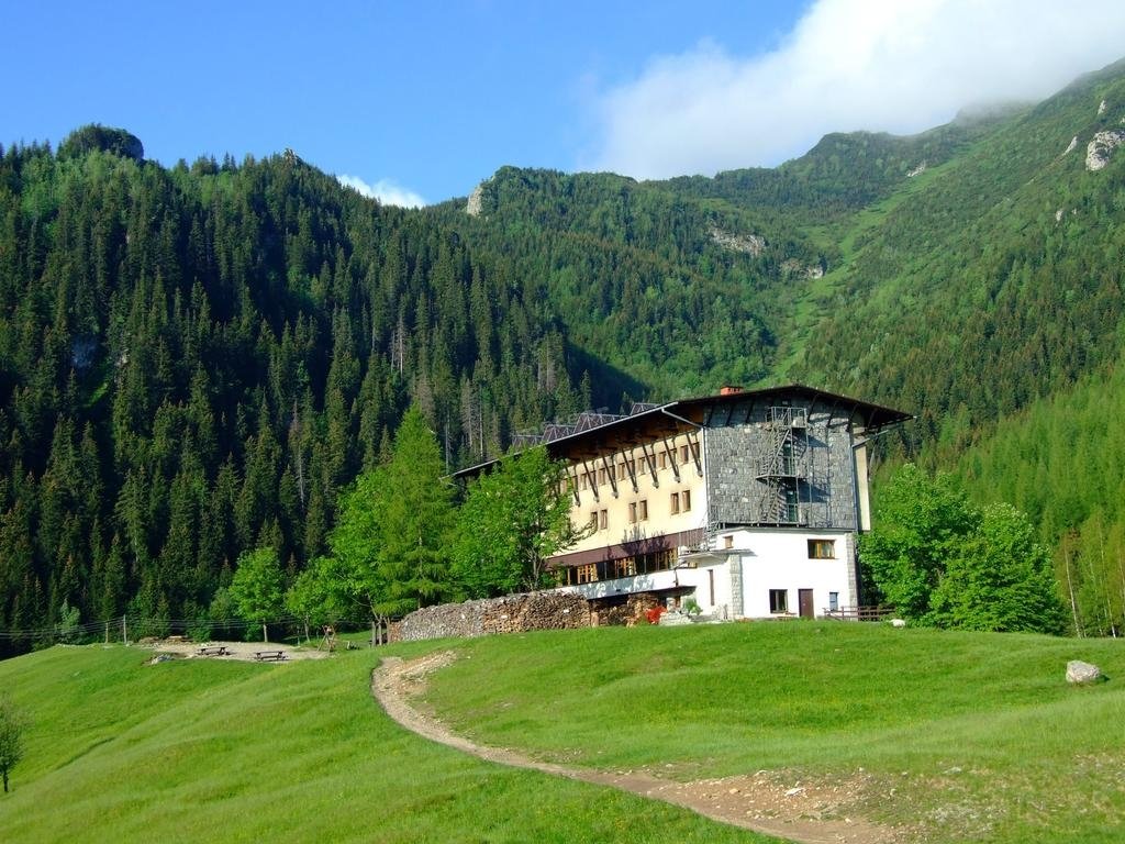 Spring alpine meadow bursting with blooming crocus flowers and mountain views at Kalatówki clearing