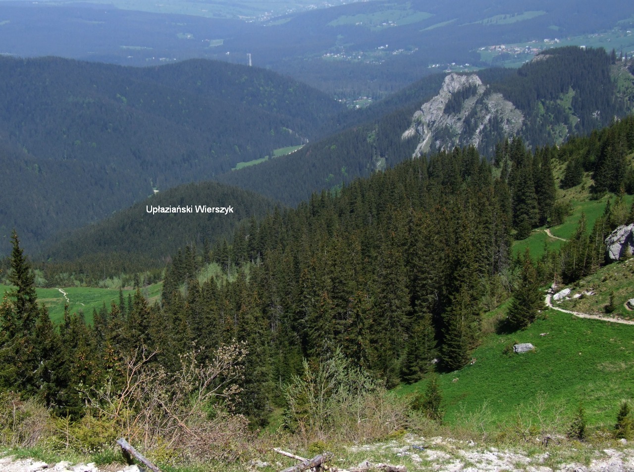 Dolina Koscieliska valley in the Tatra Mountains