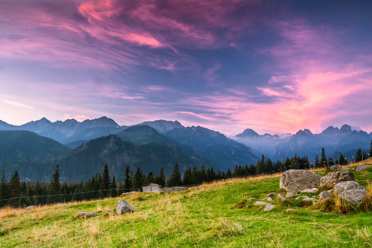 Ultimate Packing Guide